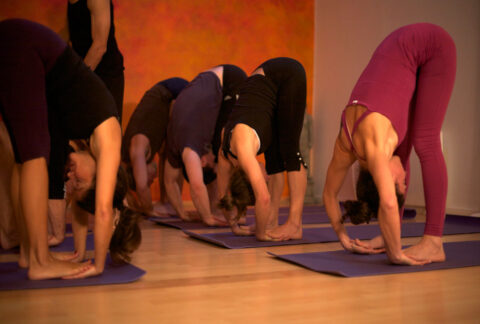 Hatha Yoga Flow